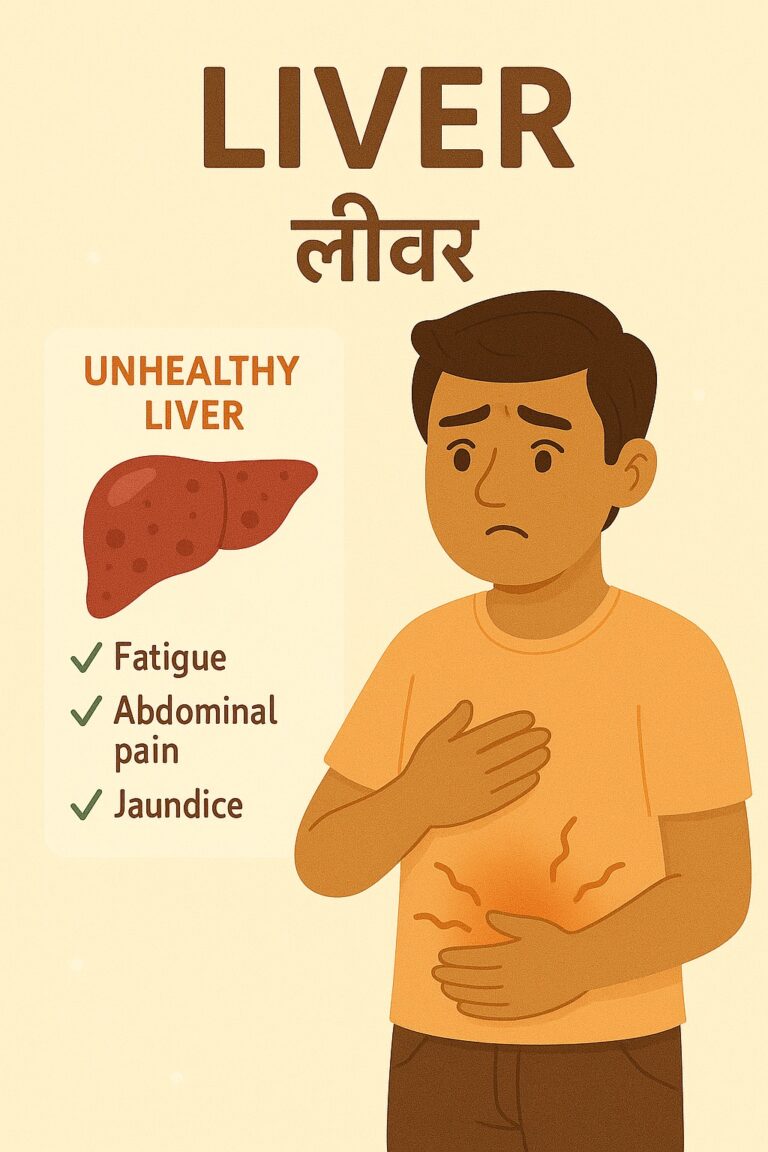 Liver